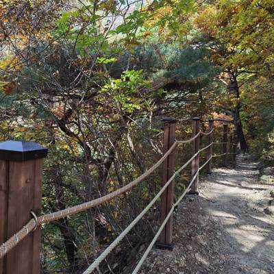 Photo review number 6576 from Lilia D